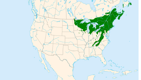 Map-Description
