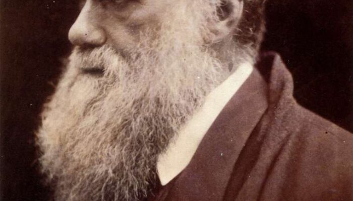 charles-darwin-by-julia-margaret-cameron-3-cc34ac-1024